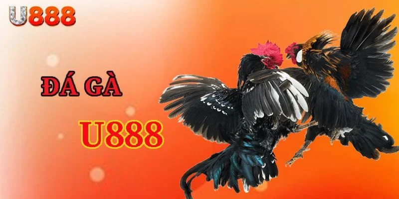 Ưu điểm có 1 0 2 tại đá gà U888