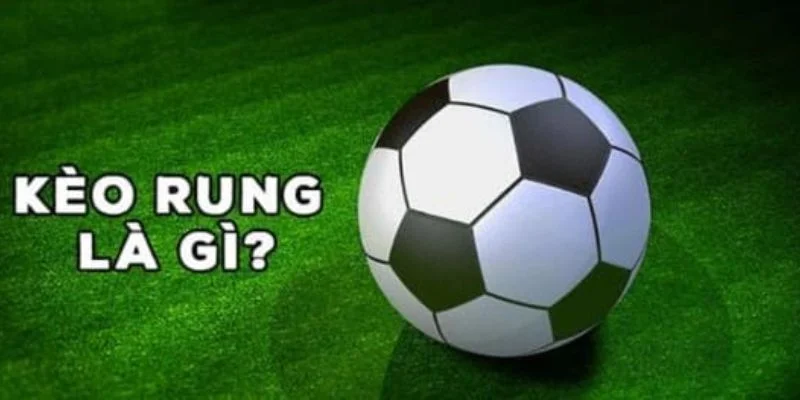 Lý giải cách hiểu về kèo rung 